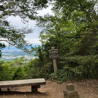 次の山、大谷山⛰