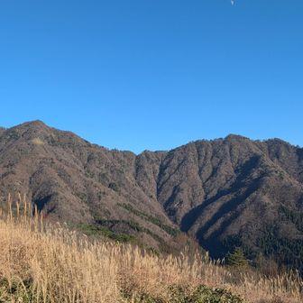矢筈山、サガリハゲ山