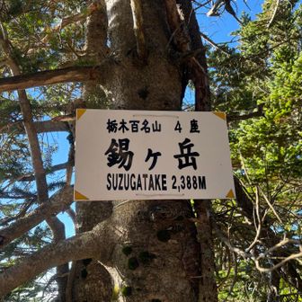 『錫ヶ岳』登頂