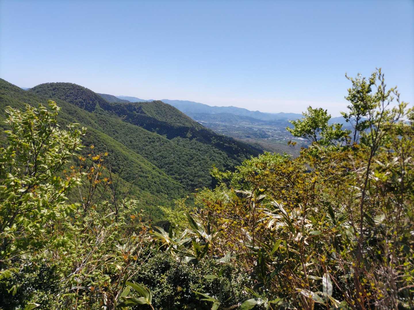 ほぼ山頂