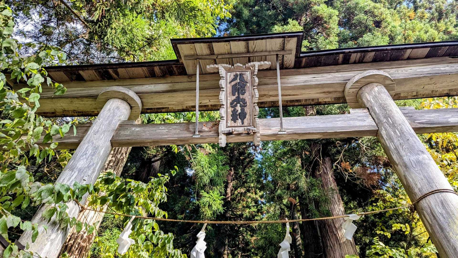 ありがとうございました🙂‍↕️