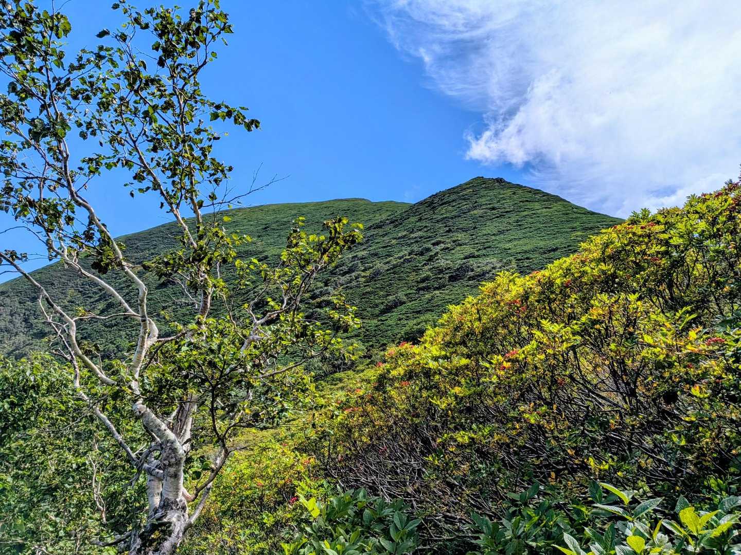 曲り沢登山口-チロロ岳 往復コースの写真