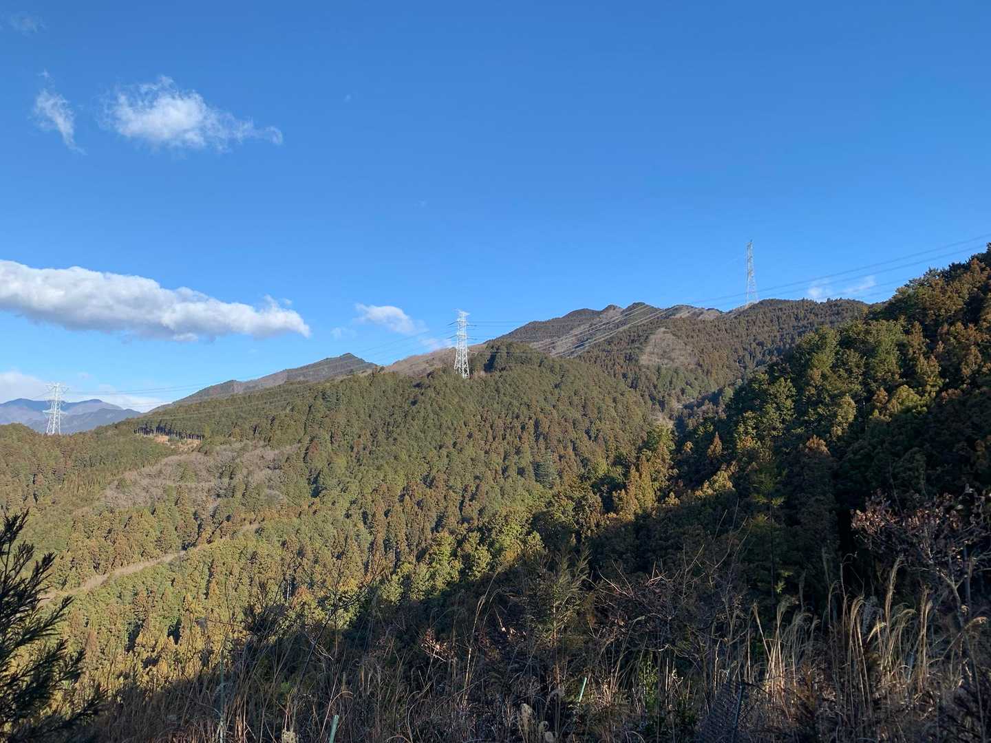 羽賀場山 往復コースの写真