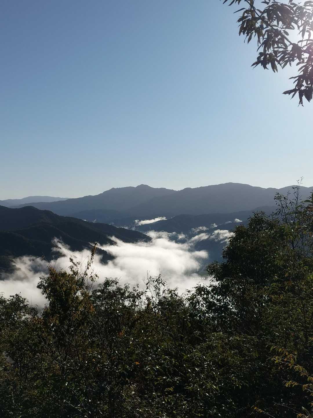 杣山が好きな理由、その一つは姥ヶ岳や金草岳が近くに見えることです🤗左から姥ヶ岳、金草岳、(高倉峠の)権現山⛰️