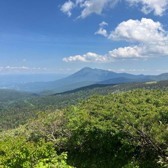 今日のような日に
山頂にいれたら最高でしょうね