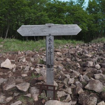 長七郎山⛰️雲がかかってきました💭