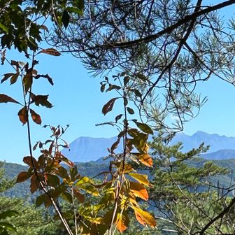 久しぶりに単独峰　御嶽山も👀