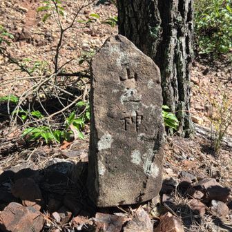 焼却炉ルートとの合流地点に有る祠⛩️
100回以上登っているのに山の神様だったと本日初めて知りました🙏