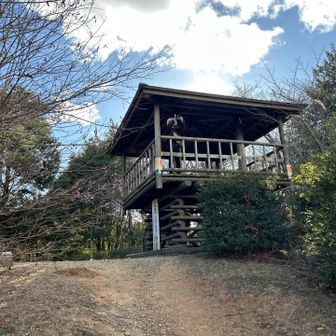 着いた。展望台だ