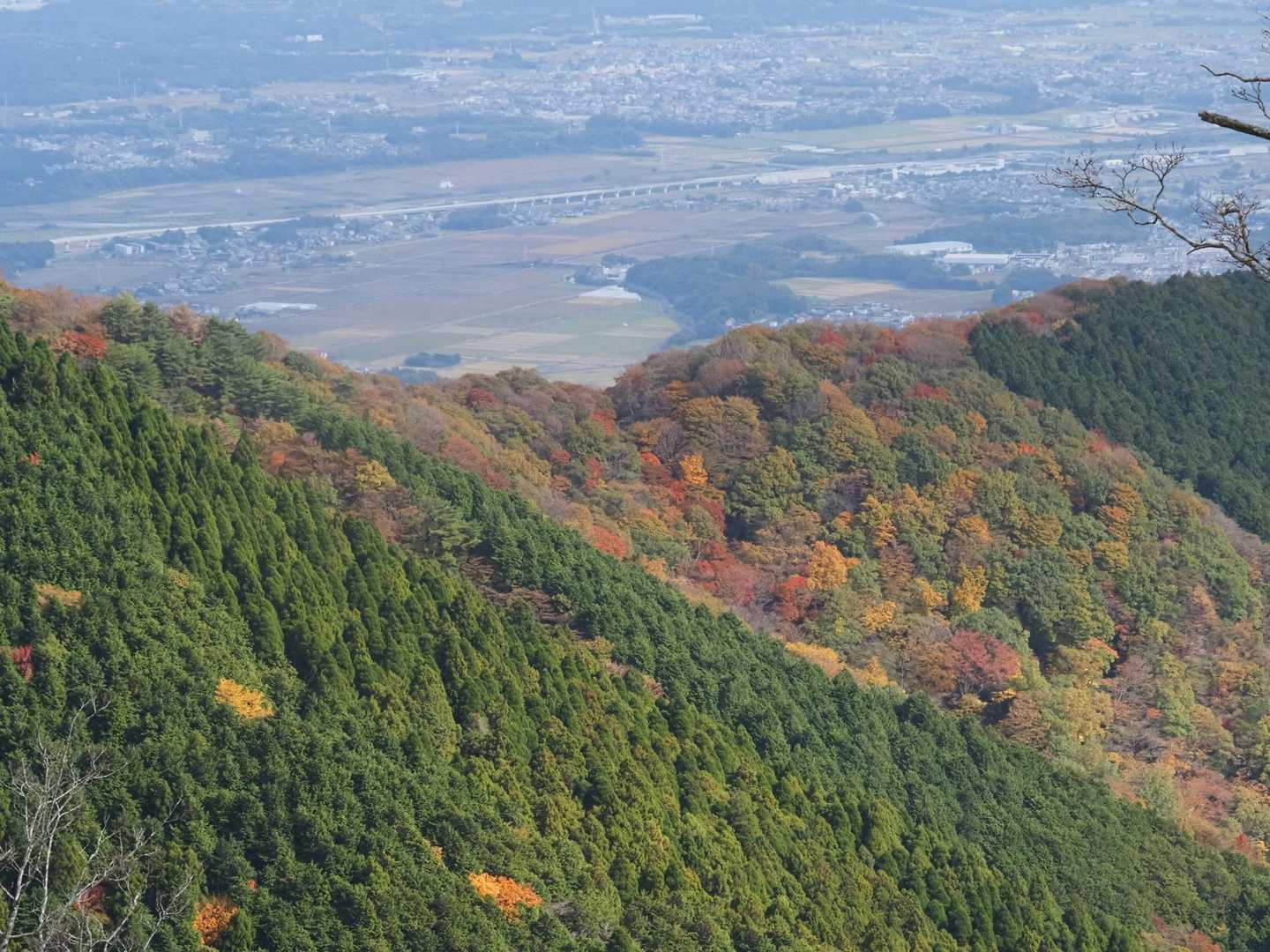 歩いてきた遠足尾根の紅葉🍁