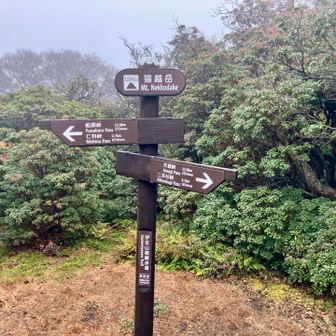 第1エイドちょっと過ぎた辺りでは低体温で助けられている人も見ましたが、自分も余裕なく、ここに至るまで写真なし😂