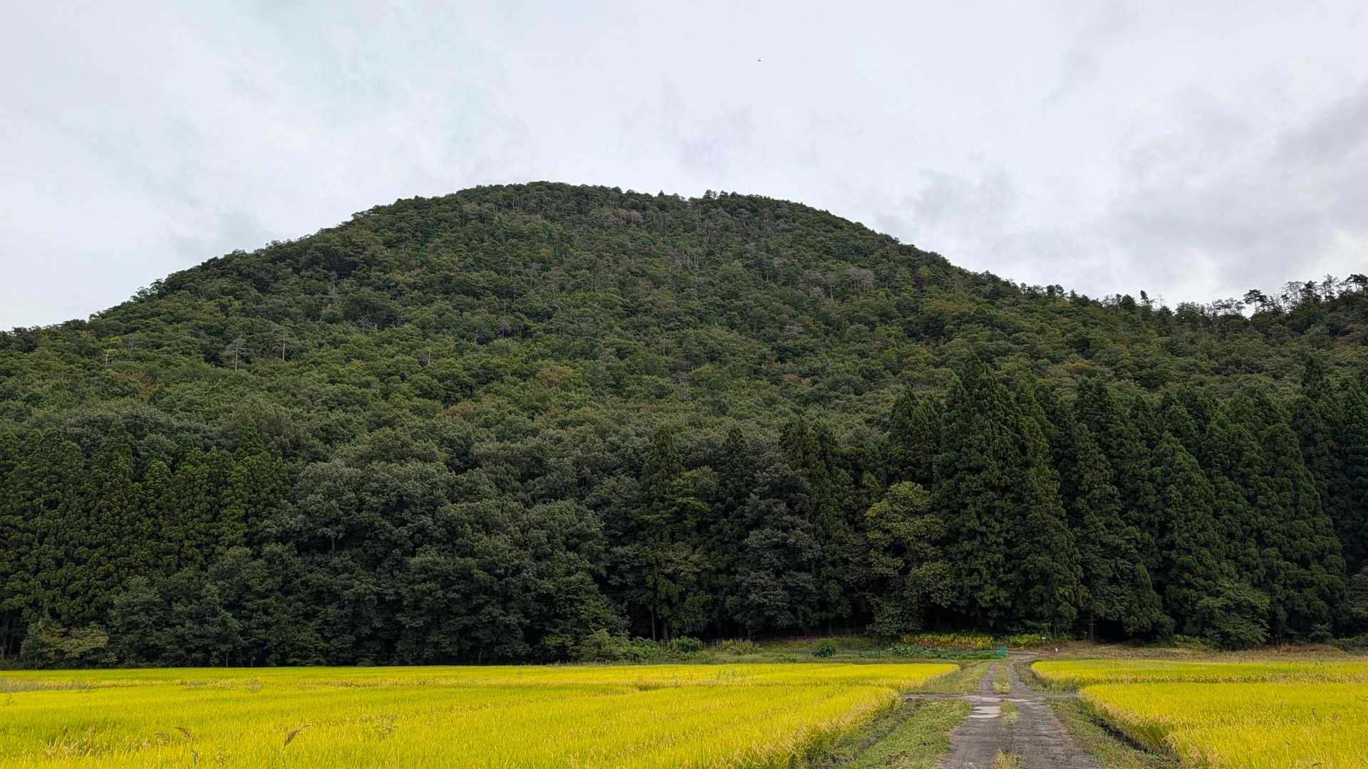 大岡山 往復コースの写真