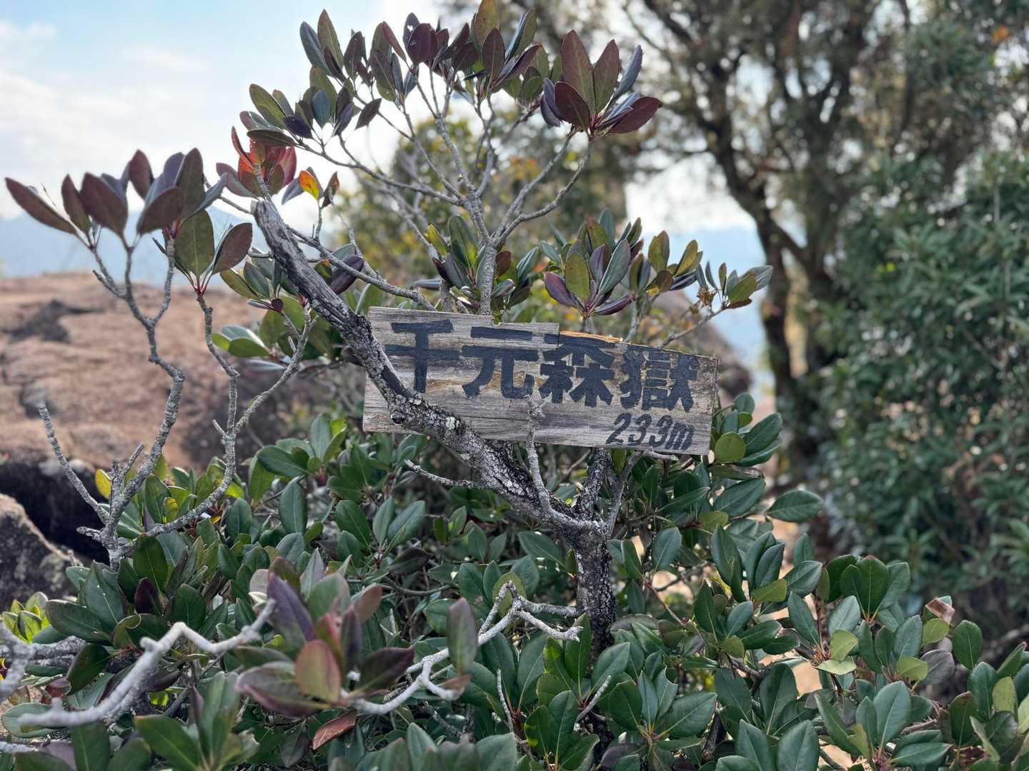かなりお久しぶりの山頂
コンパクトで楽しいお山です