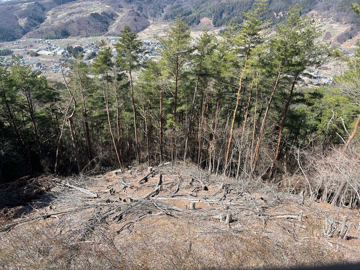 下を見ると…景色が見えるよう伐採されてました🌳