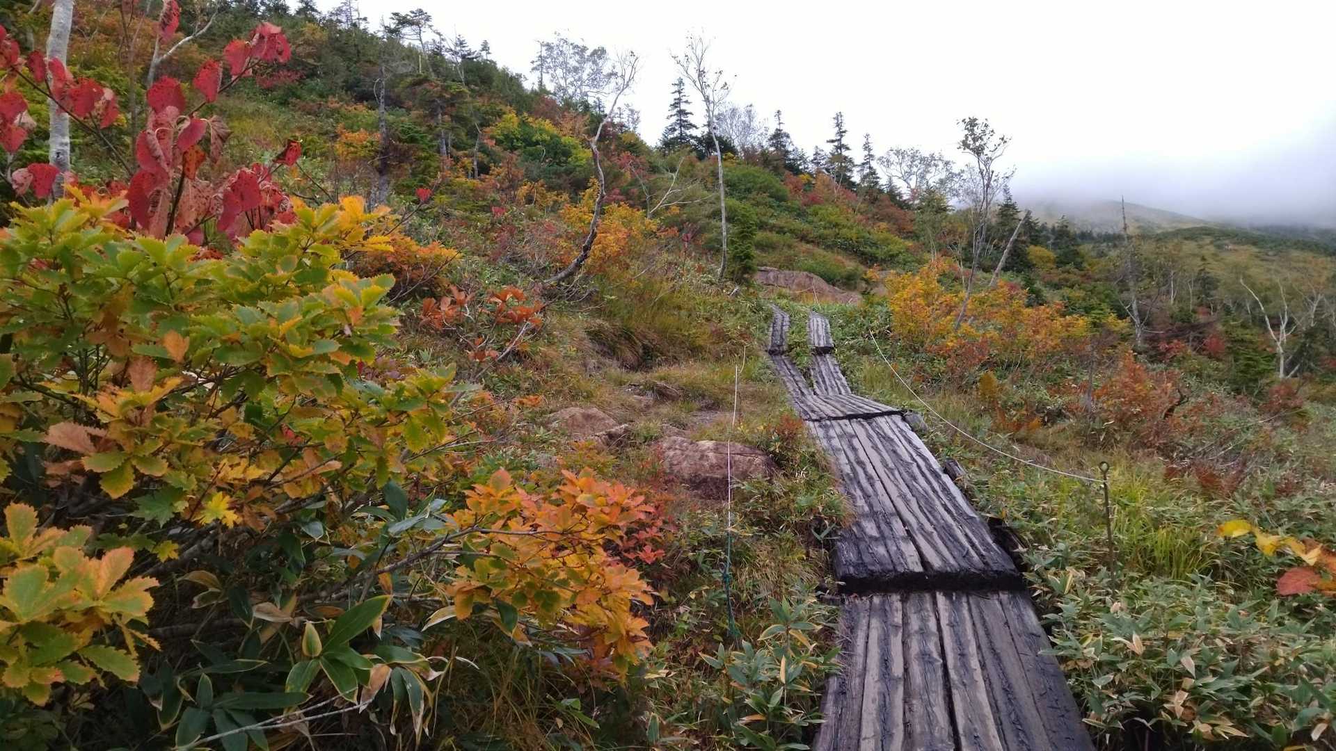 鳩待峠-至仏山 往復コースの写真