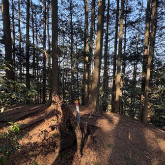 観音岳（標高410）通過
