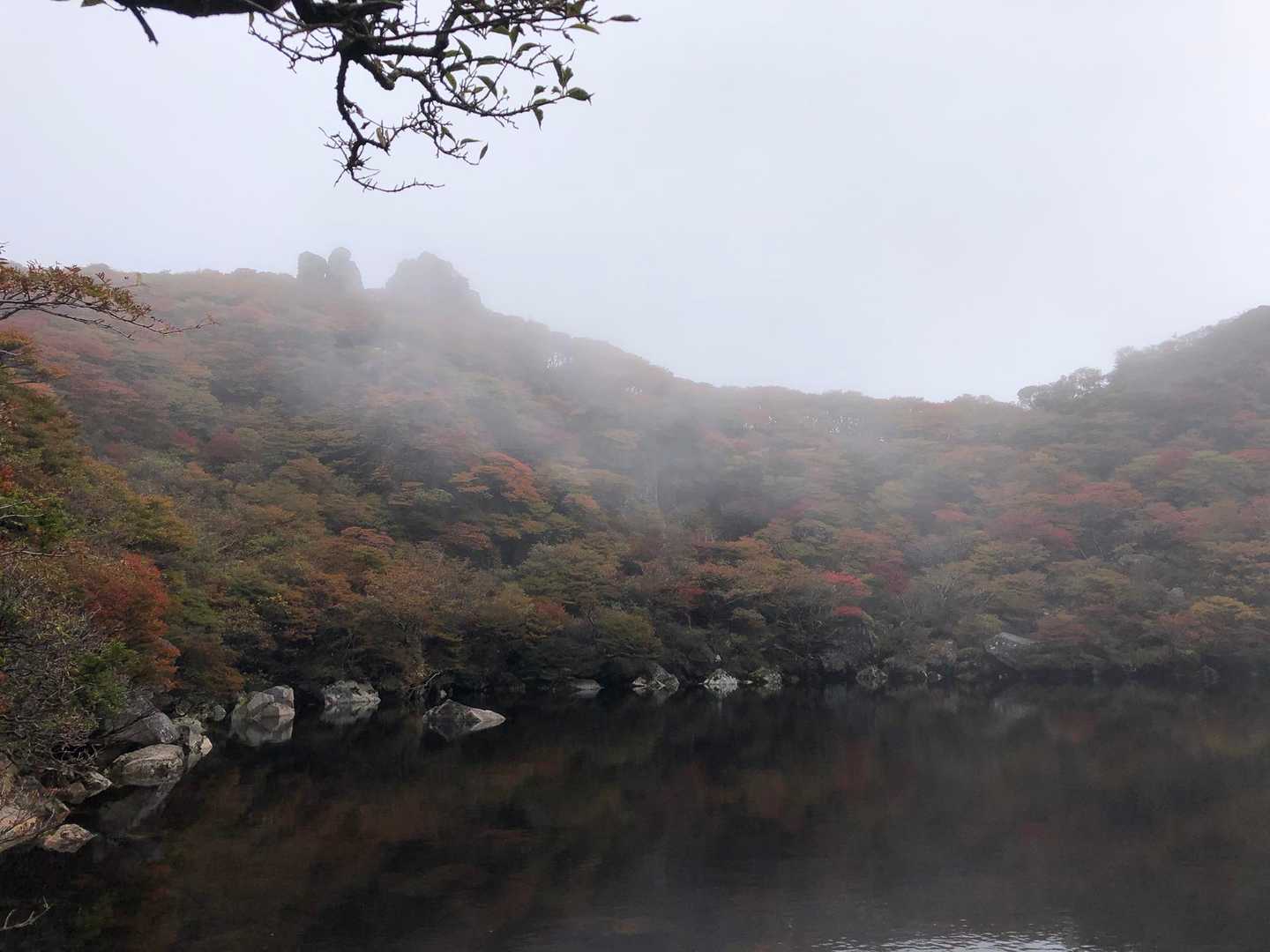 大船山 周回コースの写真