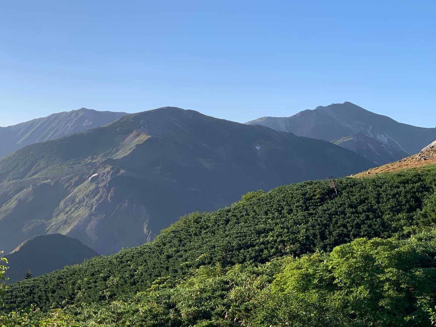 何層もお花畑の階を下って、
今度は雪倉岳がドカーン、
右奥に白馬岳が控える。