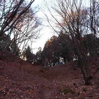 ようやく峠が見えてきました。