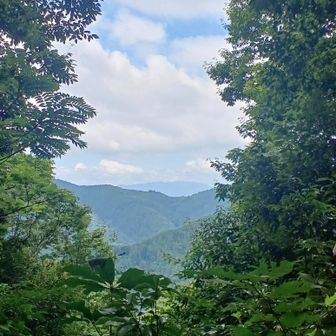 富士山見えるの？