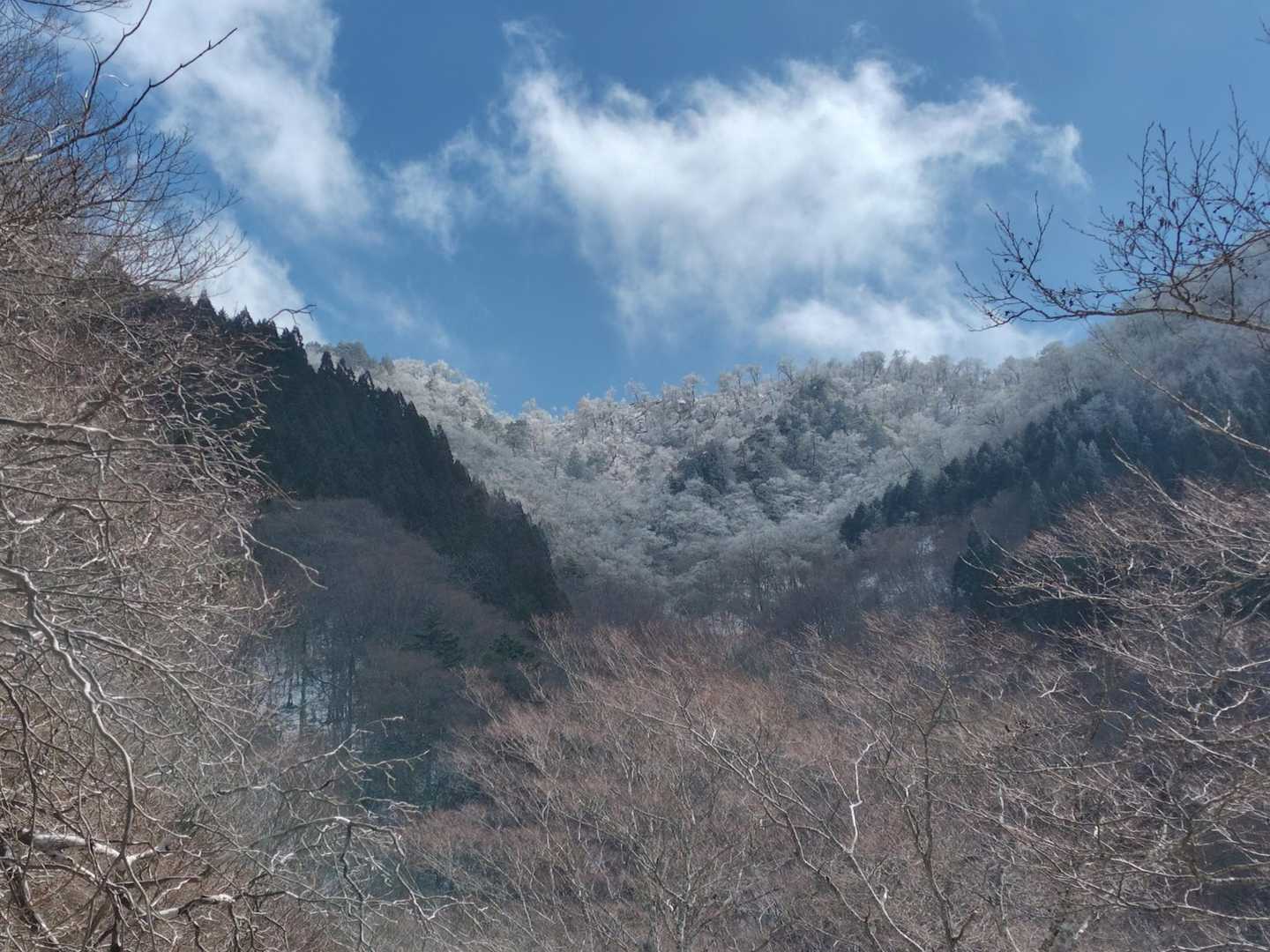 下山すると晴れてくる不具合。。。あと1時間くらい尾根で待機していれば素晴らしい景色が拝めたかもしれません？無念！🙏
