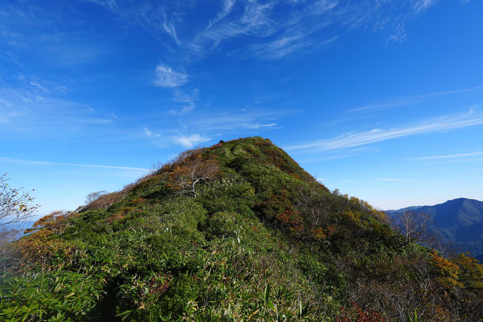 三倉山頂上手前