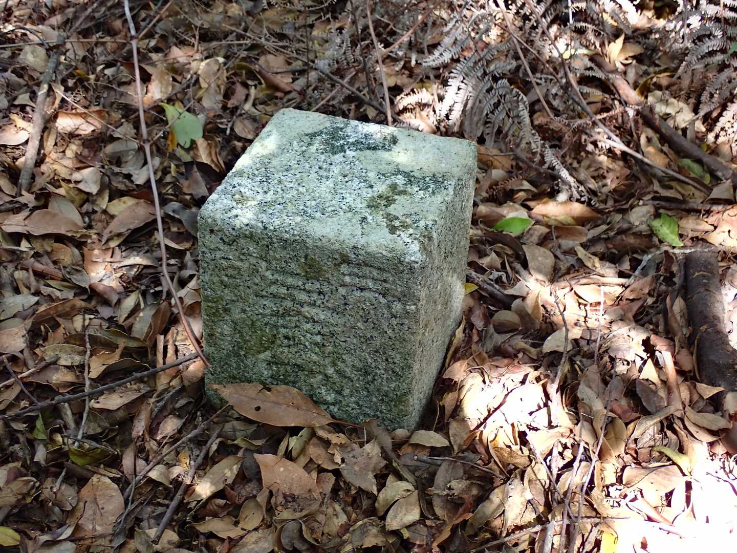 三等三角点（基準点名：室山）
そういえば、登ってきた谷が室ヶ浴でしたが関係あるのでしょうか。