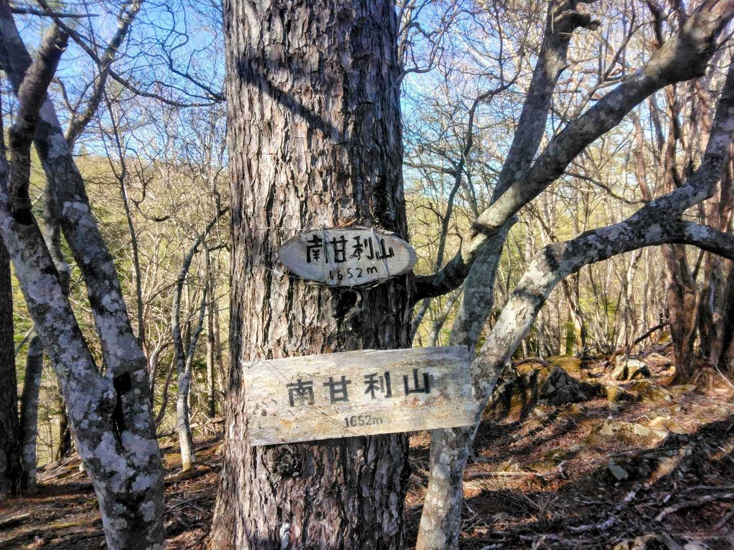 南甘利山 登頂！