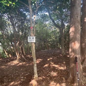 田子加山、ひよどり城址の南砦なんだ。