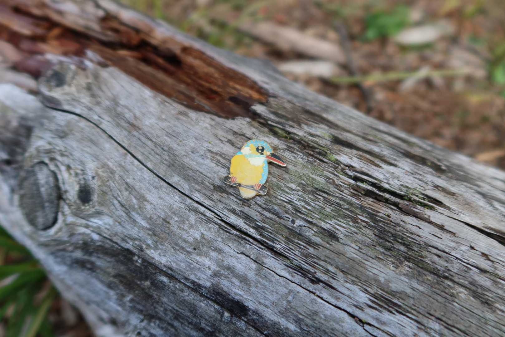 山頂に水辺のカワセミがいました(笑)
