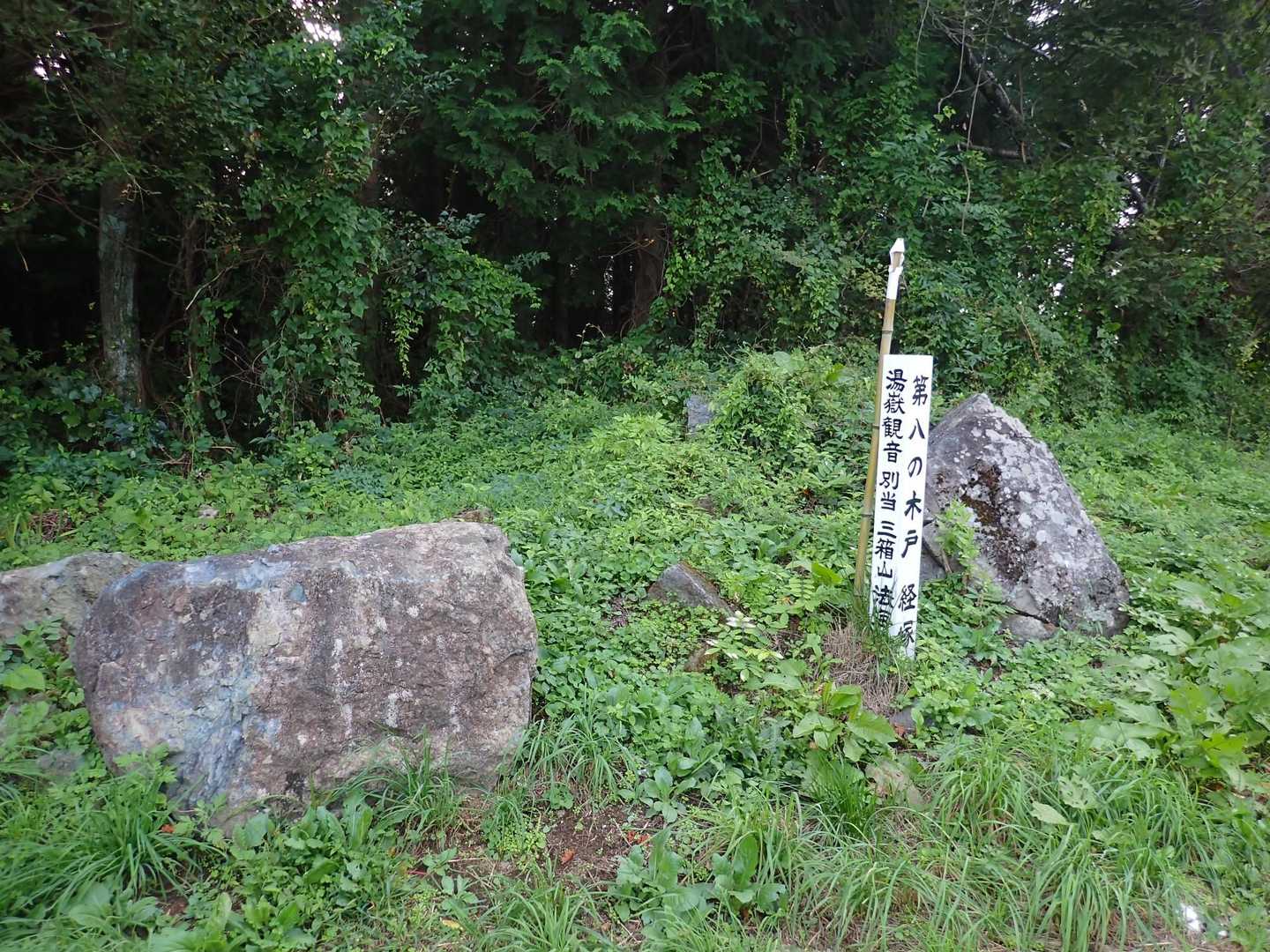 山頂⛰️