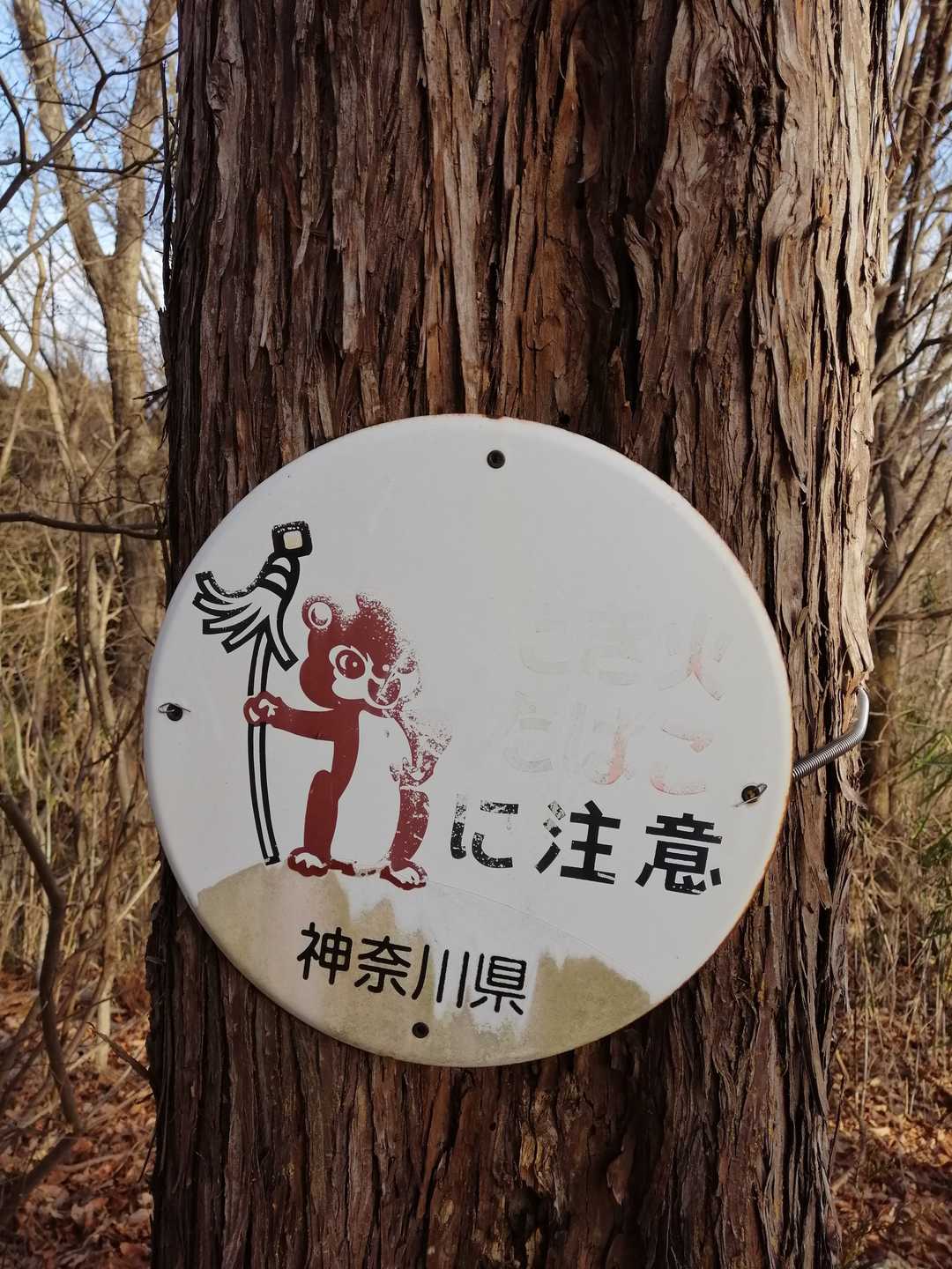 まといリスに注意？
