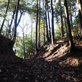 西野峠から山本山方向へ
