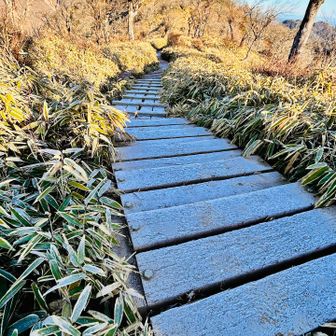 今回はツルっともヒヤッともしなかったけれど、木道に霜なんて絶対ヤバいやつ😬