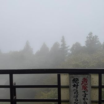 もちろん何も見えず🫥