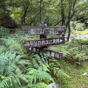 予定より約40分ビハインドで下山です👍
全国的にイマイチなお天気でせっかくのシルバーウィークの大型登山を変更した方も多いと思いますが、緑と水に癒されて次のシャバに向けてゆっくり休むのも一考☺️ さぁ、また１週間頑張ろうっと👍☺️

下山後、近くの天然温泉♨️比良とぴあでマッタリと入浴して帰宅…案の定、R161の渋滞を抜けるのに1時間以上かかりましたとさ😅