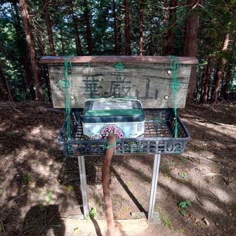 華厳山。なんかあるぞ