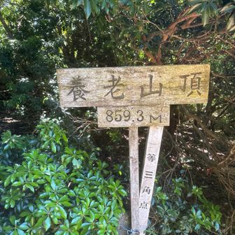 養老山の山頂ですが、眼下の景色がが全く見えない。