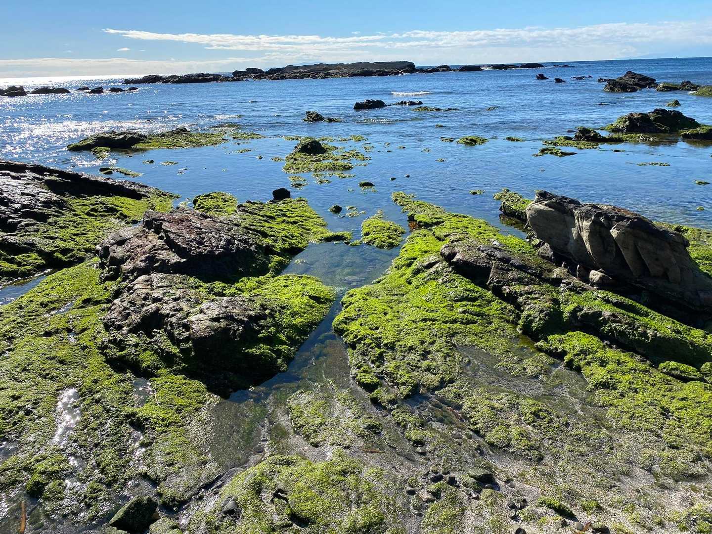 剱崎-江奈湾-白浜毘沙門天-盗人狩-宮川町バス停 縦走コースの写真