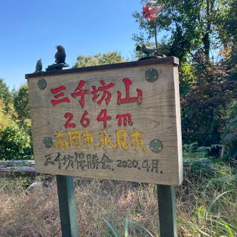 ピーク到着！イェーイ！