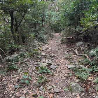 写真を撮ろうとしたら、このiPhoneは使えませんって表示。2分待って復活しました。取りたかった写真は、ここじゃあなかったけど、まあいいかな。