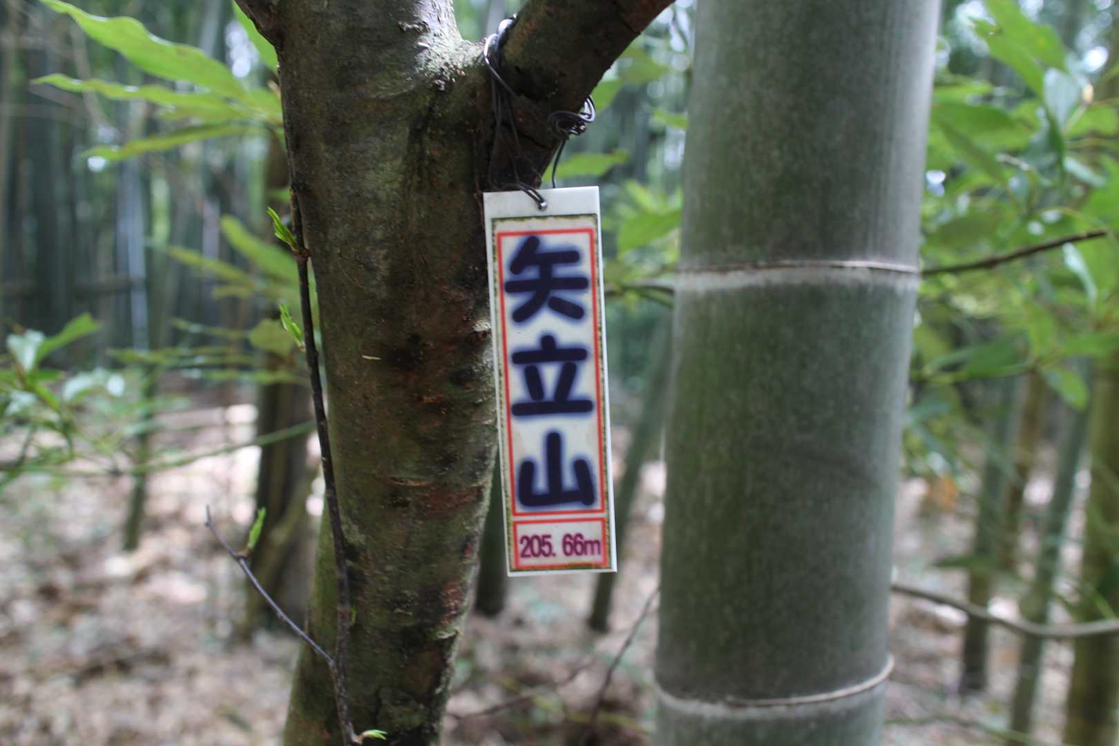 矢立山（富山県）の写真