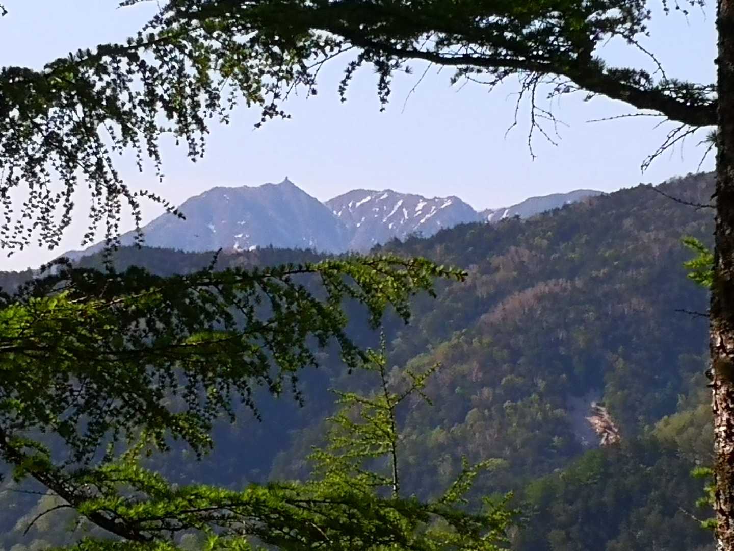 同、超望遠。

鳳凰三山。左から、地蔵、観音、薬師岳。

地蔵岳のオベリスクも見えます。