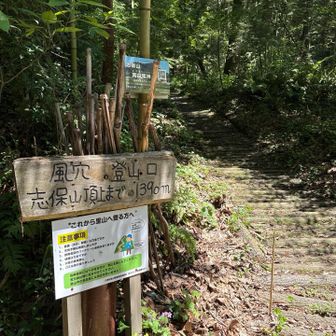 風穴が見当たらず、、