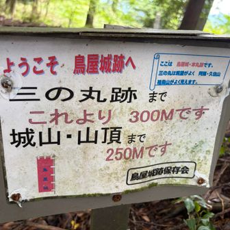 三の丸か山頂か悩んだけど、初めてやし、とりあえず山頂へ