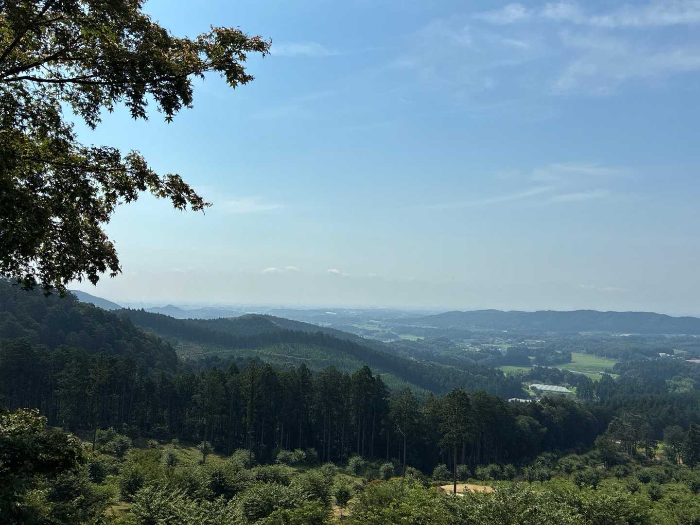 筑波山見えず
