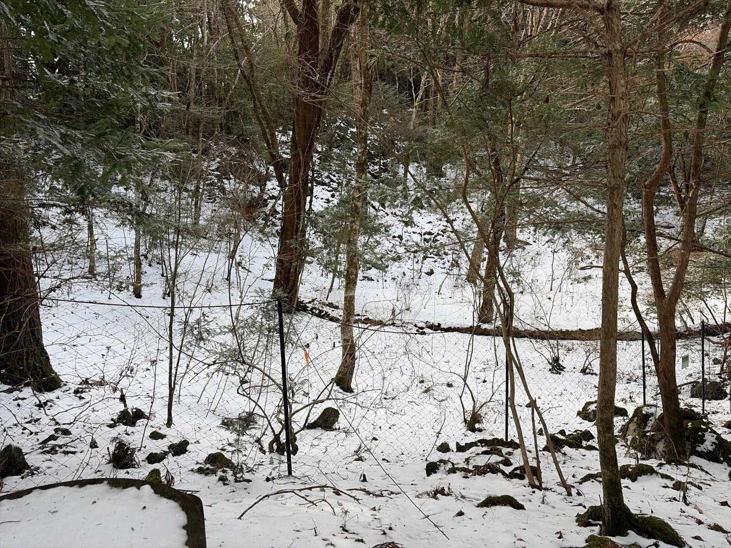 空池は氷
