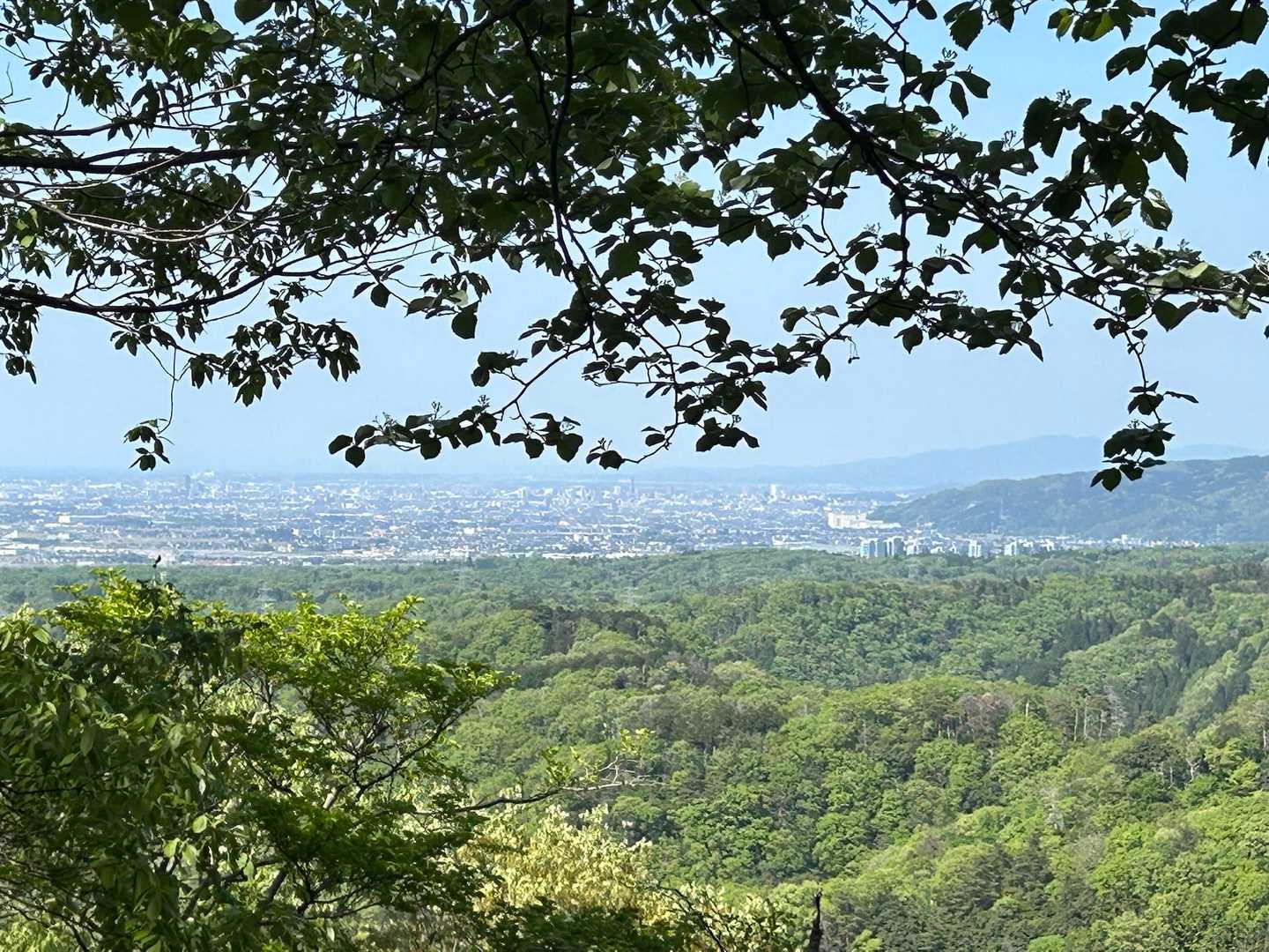 遣水観音山-遣水山観音堂 周回コースの写真