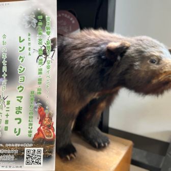 🧸レンゲショウマまつり開催中🧸