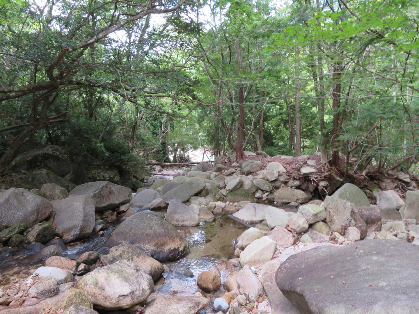 沢に戻りました。沢から離れないようにしてください。